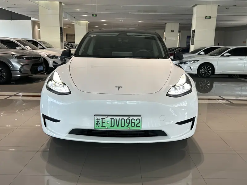 Tesla Model Y — фото 2