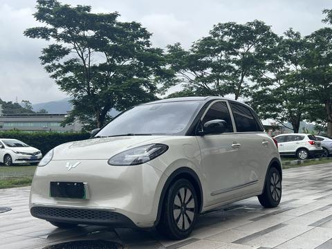 Wuling Bingo