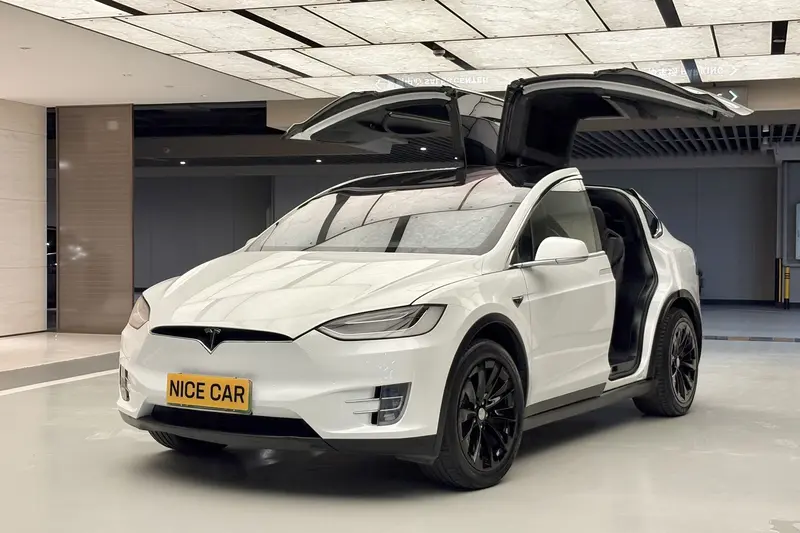 Tesla Model X 100 D — фото 1