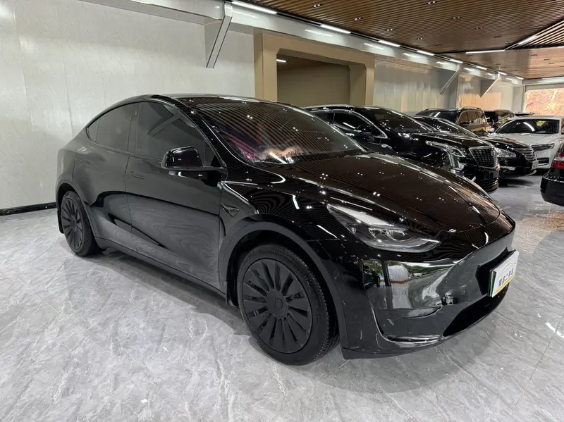 Tesla Model Y — фото 3