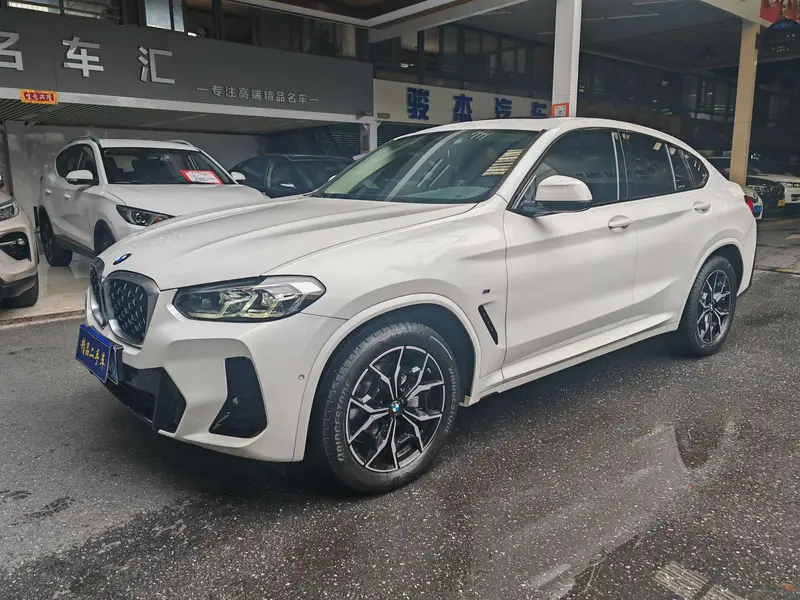 BMW X 4 x Drive 25i M Sport Package
