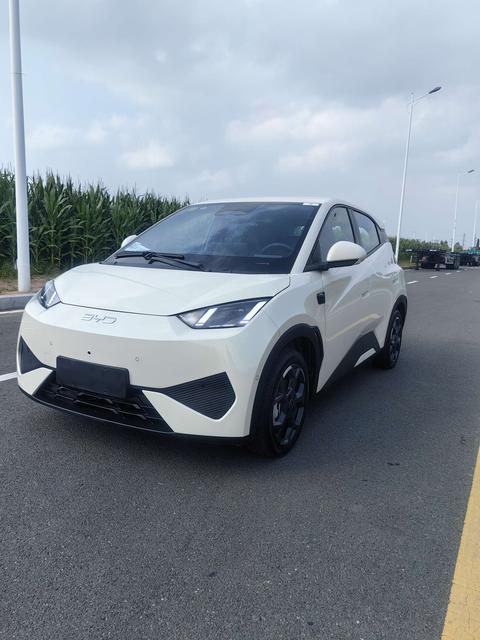 BYD Seagull