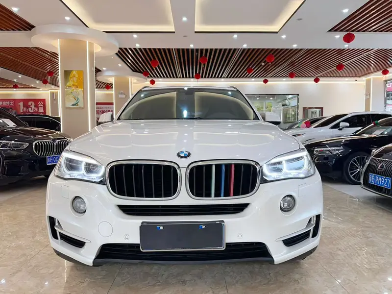 BMW X5 xDrive35i — фото 2