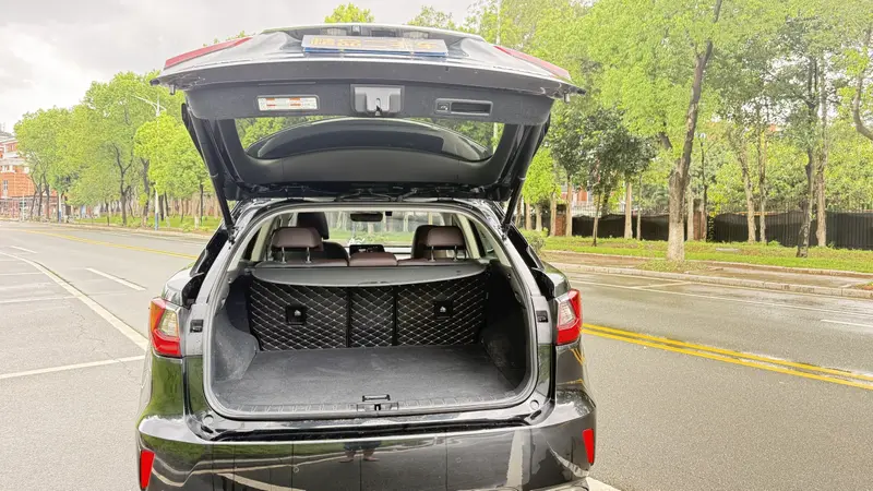 Lexus RX — фото 14
