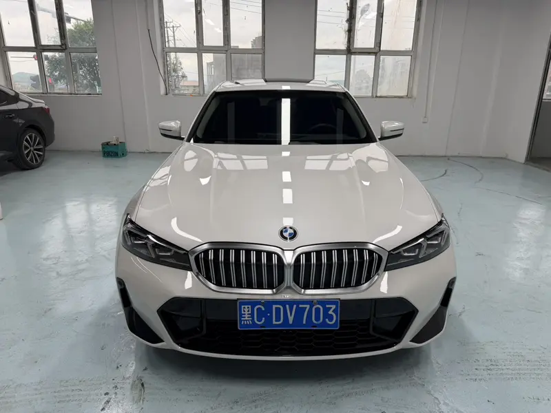 BMW 3 320 Li M Sport Package — фото 2