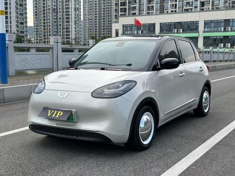 Wuling Bingo