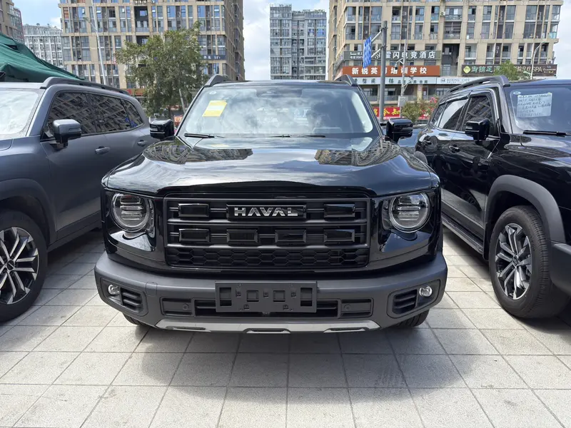 Haval Dargo — фото 2