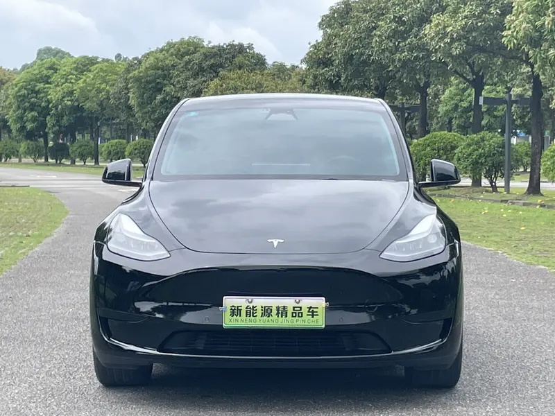 Tesla Model Y — фото 2