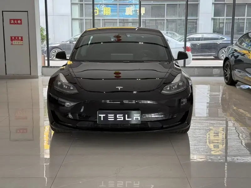 Tesla Model 3 — фото 2