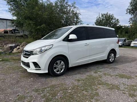 MAXUS G10