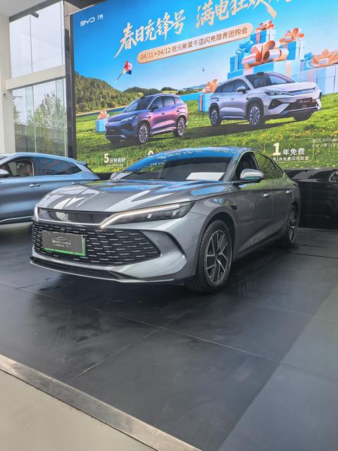 BYD L DM - фото 1