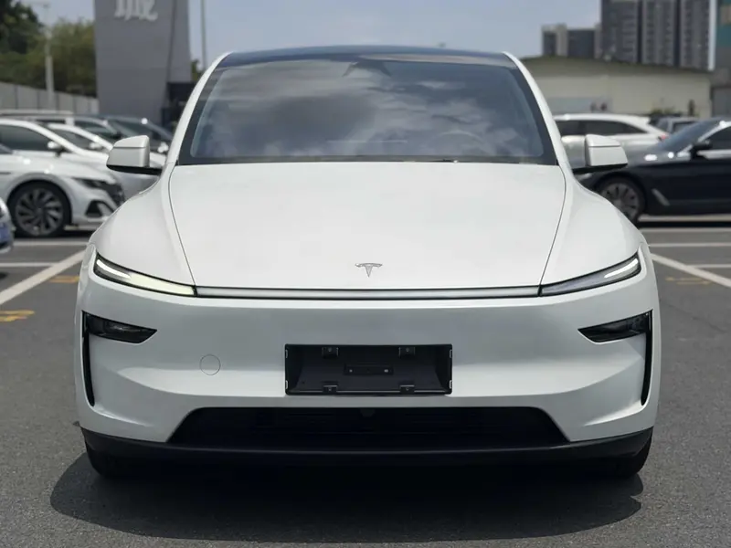 Tesla Model Y — фото 2