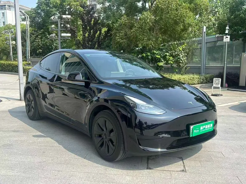 Tesla Model Y — фото 3