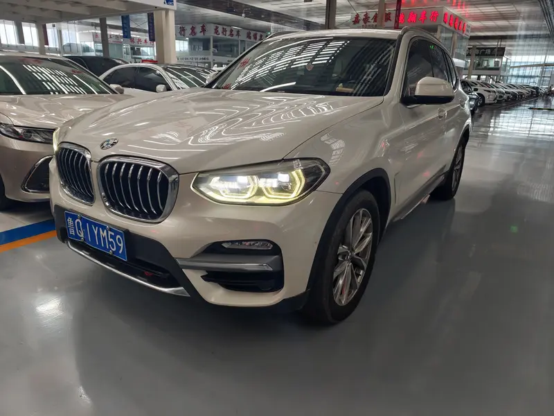 BMW X 3 x Drive 25i Luxury Package VI