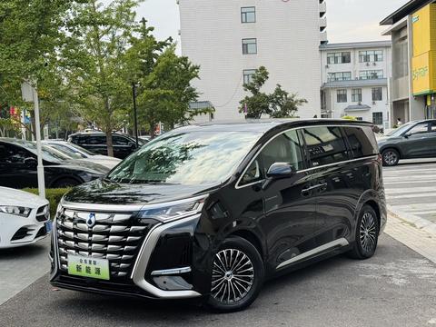 DENZA D9 DM