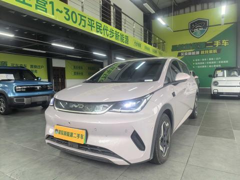 BYD Dolphin 2025 Smart Drive 420KM Freedom