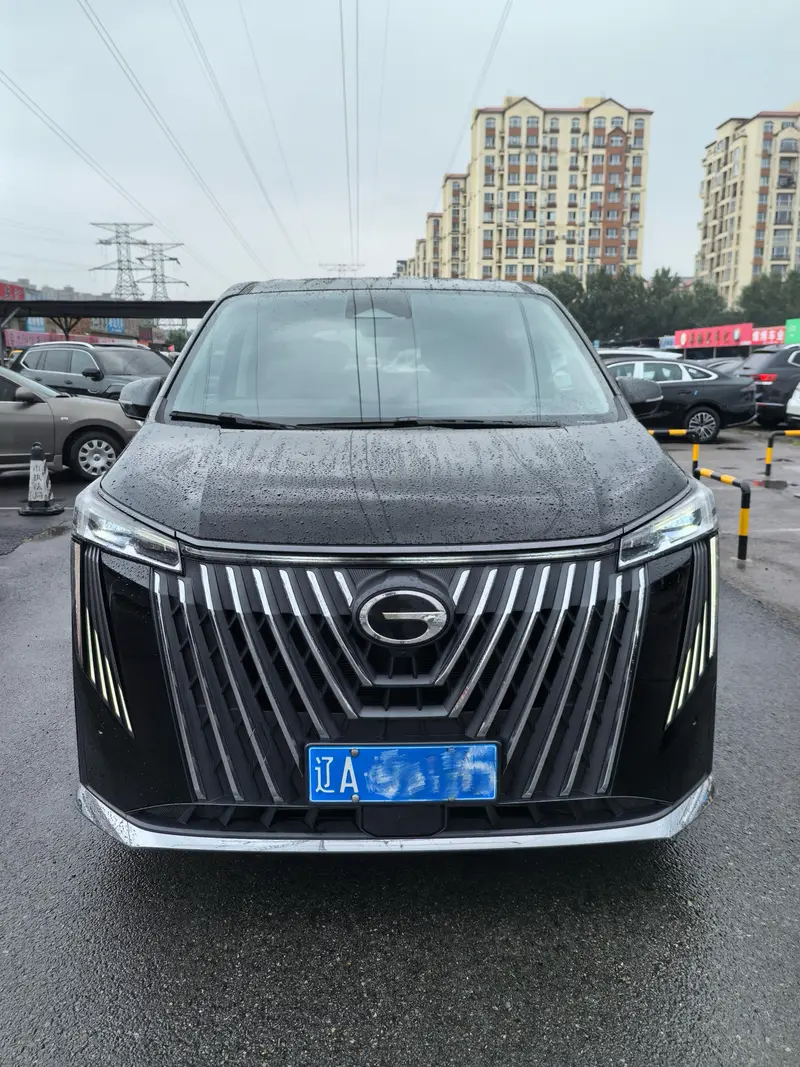 Trumpchi GACTrumpchi M8 — фото 2
