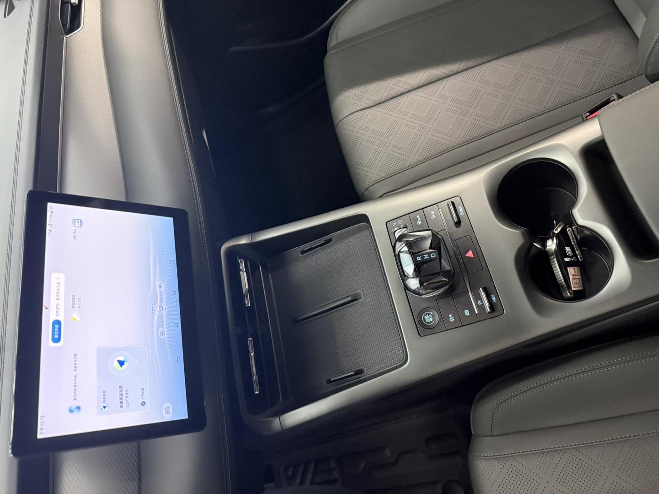 BYD Qin PLUS DM: фотография 11 из 19