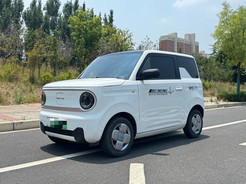 Geely Galaxy Panda