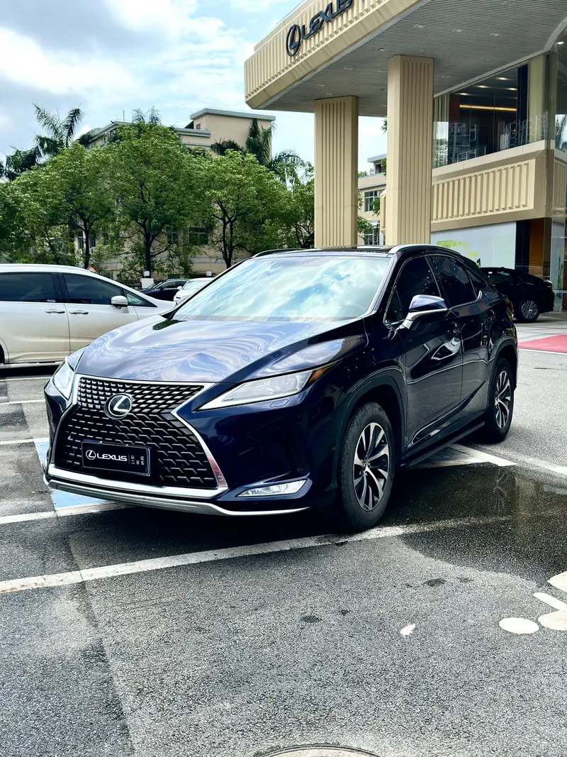 Lexus RX 300 2 WD Elite