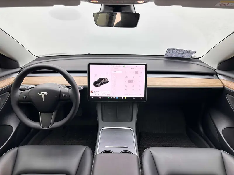 Tesla Model 3 RWD 3 D 1 — фото 8
