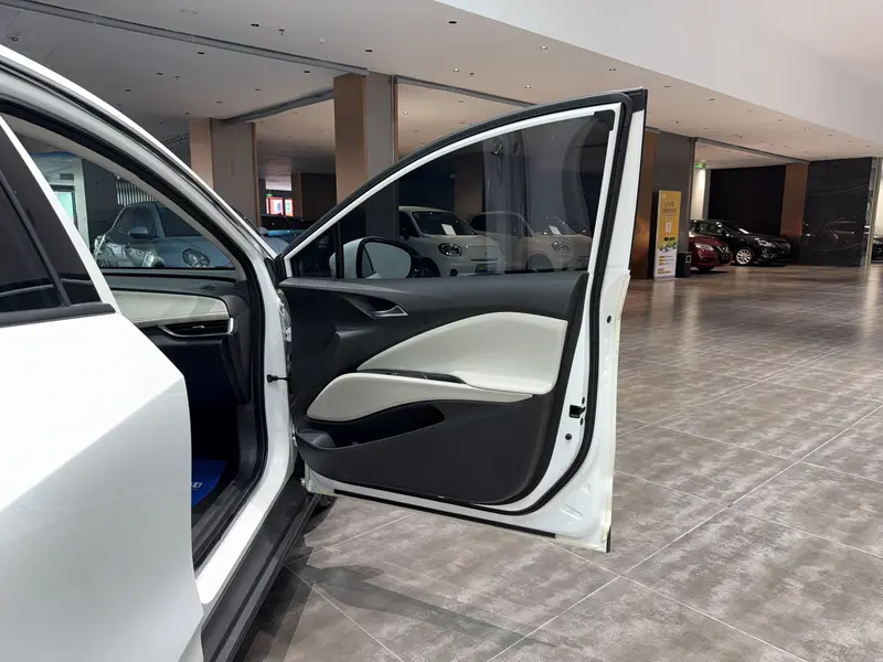 Buick Velite 6 — фото 15