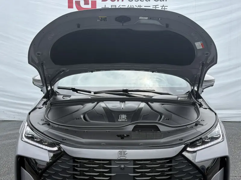 BYD Tang DM-i 115 KM Flagship — фото 7