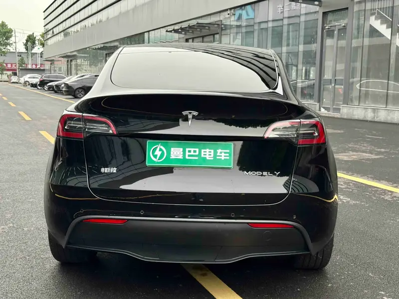 Tesla Model Y — фото 6
