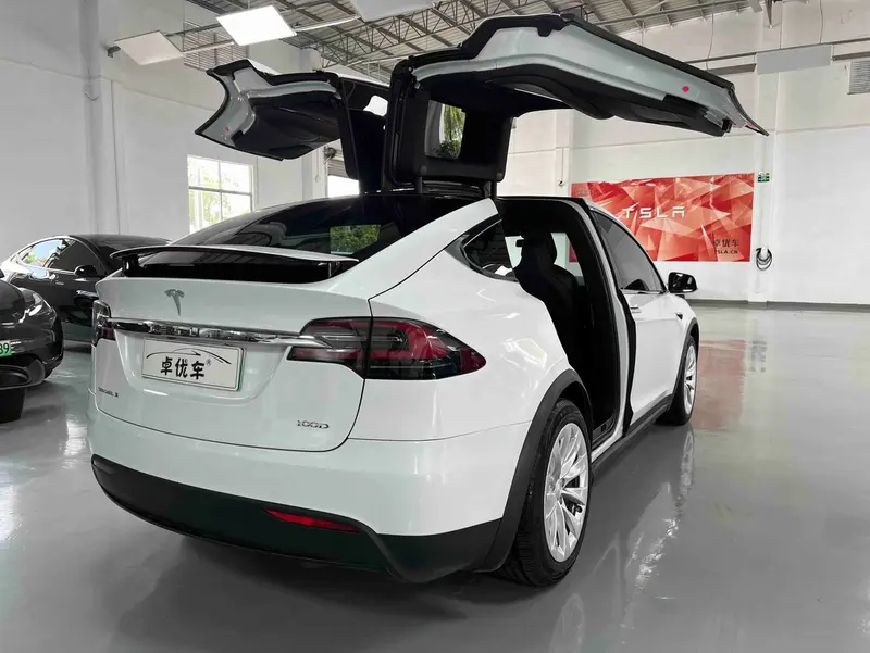 Tesla Model X 100D увеличенный запас хода — фото 7