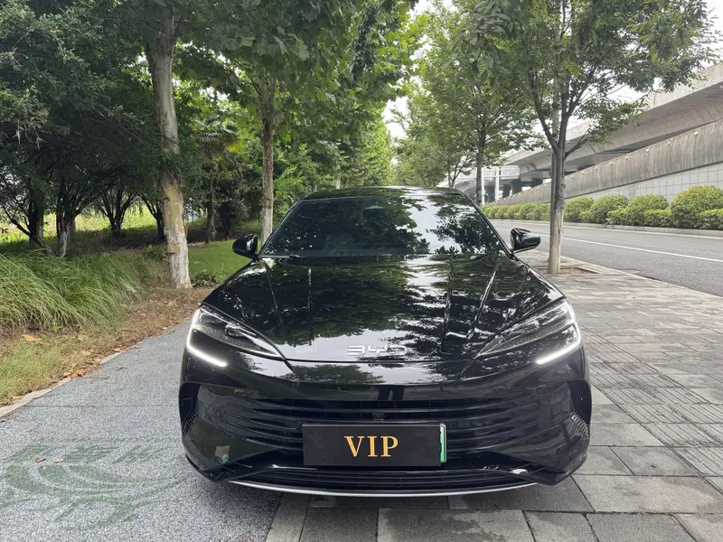 BYD Seal — фото 2
