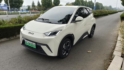 BYD Seagull 2025 305KM Freedom