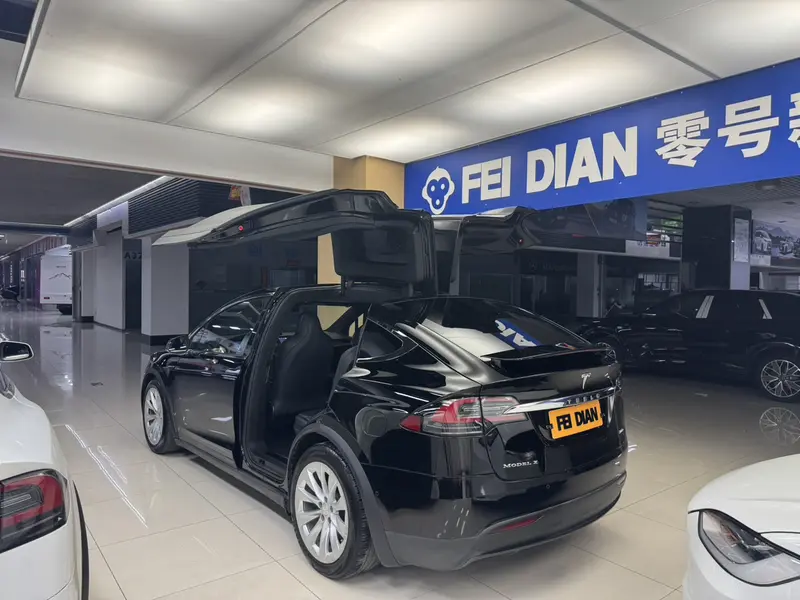 Tesla Model X 100D увеличенный запас хода — фото 2
