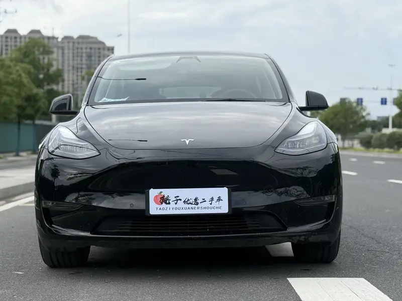 Tesla Model Y — фото 2