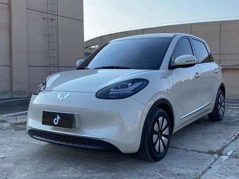 Wuling Bingo