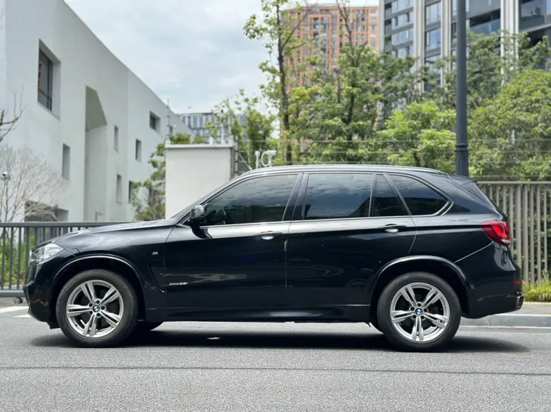 BMW X5 xDrive35i M спорт — фото 4