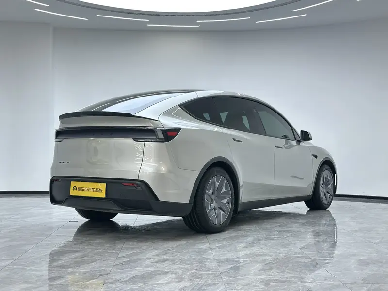 Tesla Model Y L — фото 7