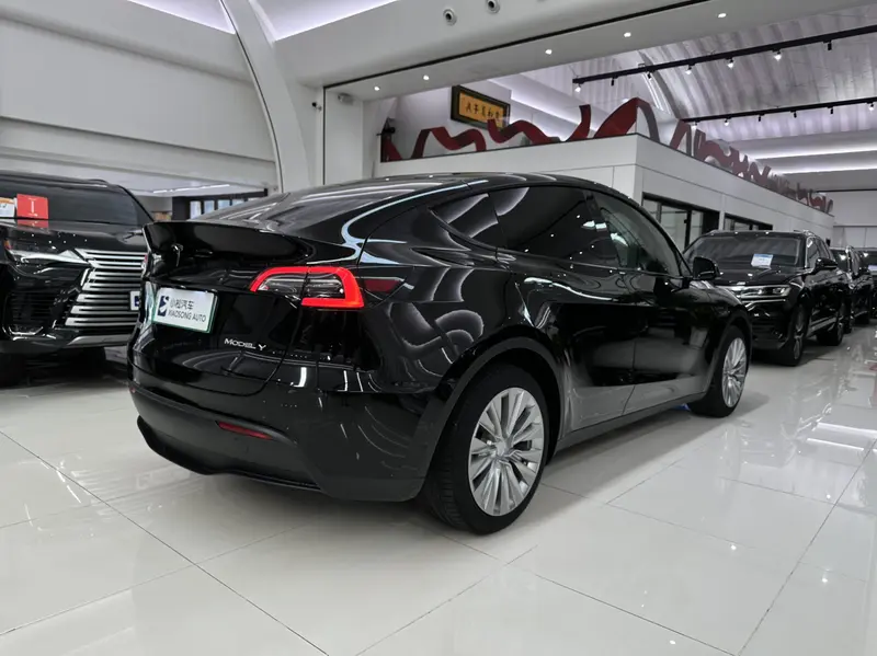 Tesla Model Y — фото 6