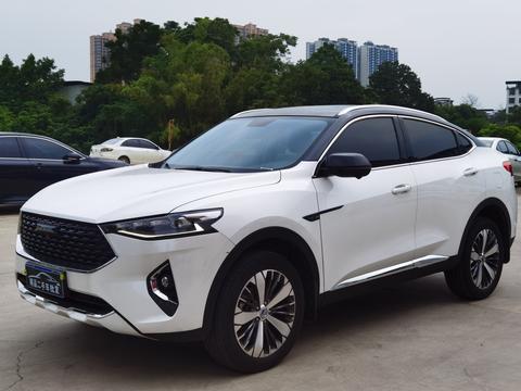 Haval F7x, 2019 год