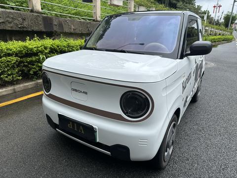 Geely Galaxy Panda