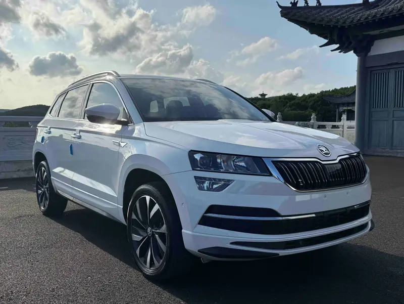 Skoda Karoq — фото 3