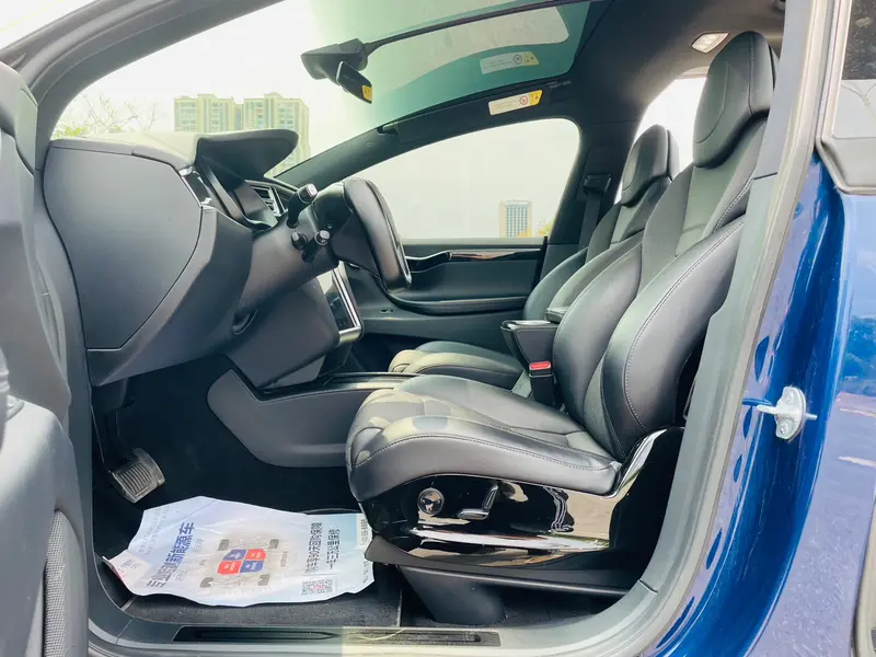 Tesla Model X 75D — фото 11