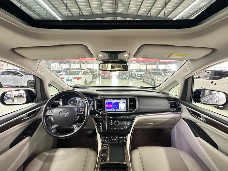 Trumpchi GACTrumpchi M8 — фото 7