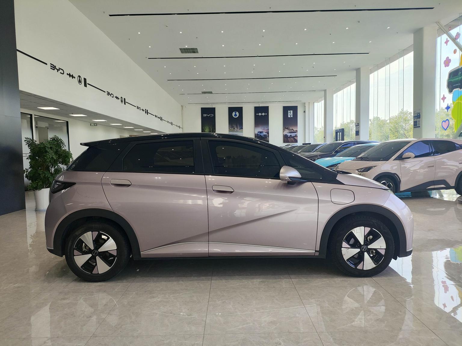 BYD Dolphin 2023 Freedom