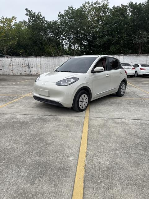 Wuling Bingo