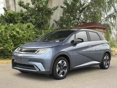 BYD Dolphin 2024 420km Freedom