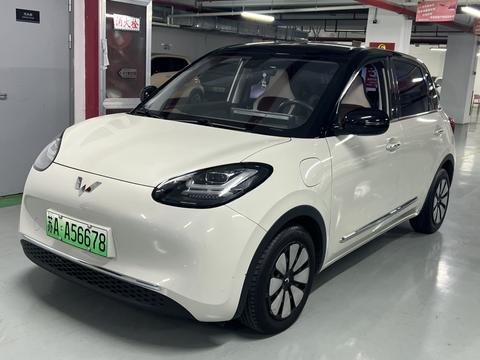 Wuling Binguo 2023 333KM Enjoy +