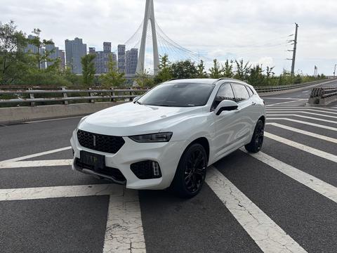 WEY VV7