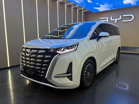 DENZA D9 DM