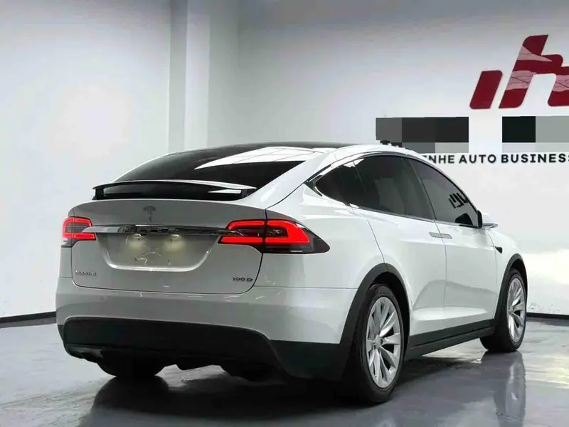 Tesla Model X 100 D — фото 6