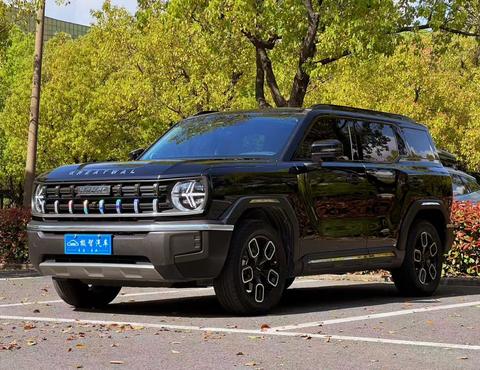 Haval Cool Dog